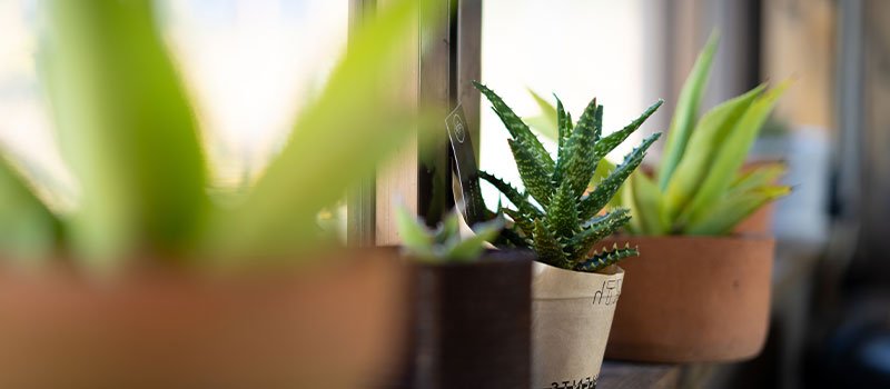 プライバシーポリシー